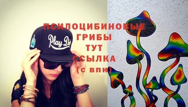 герыч Новодвинск