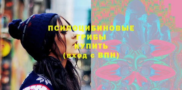 Альфа ПВП Дмитровск